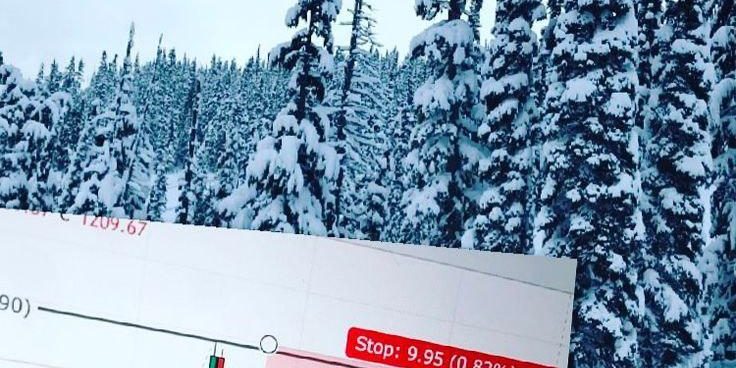 photo_2020-04-13_19-13-26