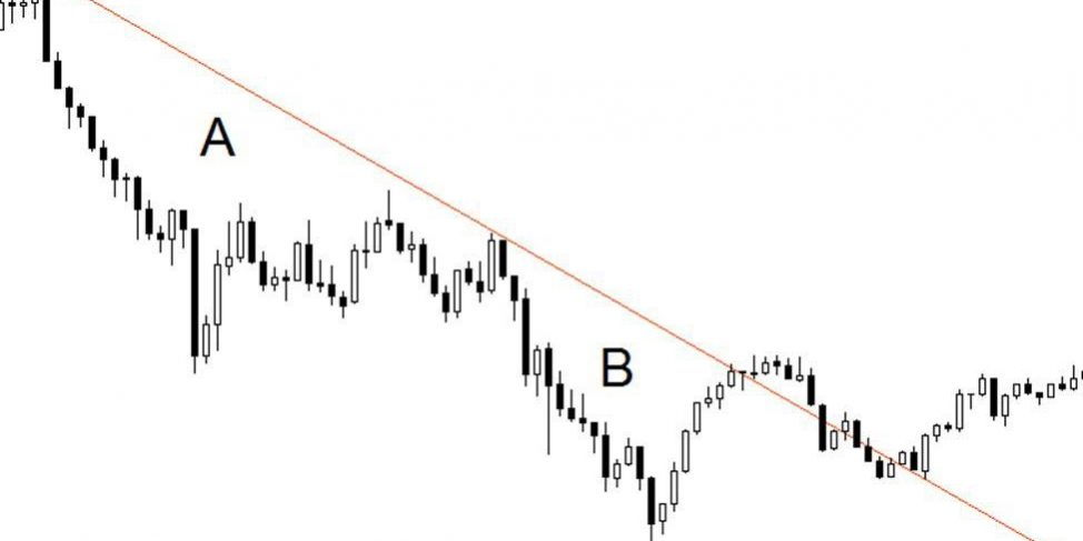 photo_2020-04-13_19-18-15