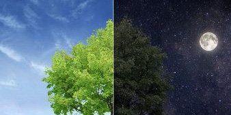 photo_2020-04-15_15-42-39