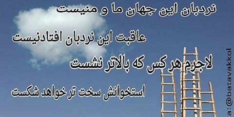 رابطه افت سرمایه و سود ماهانه