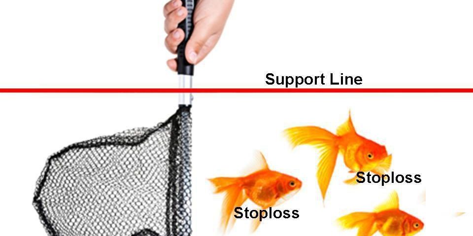 photo_2020-06-29_17-16-33